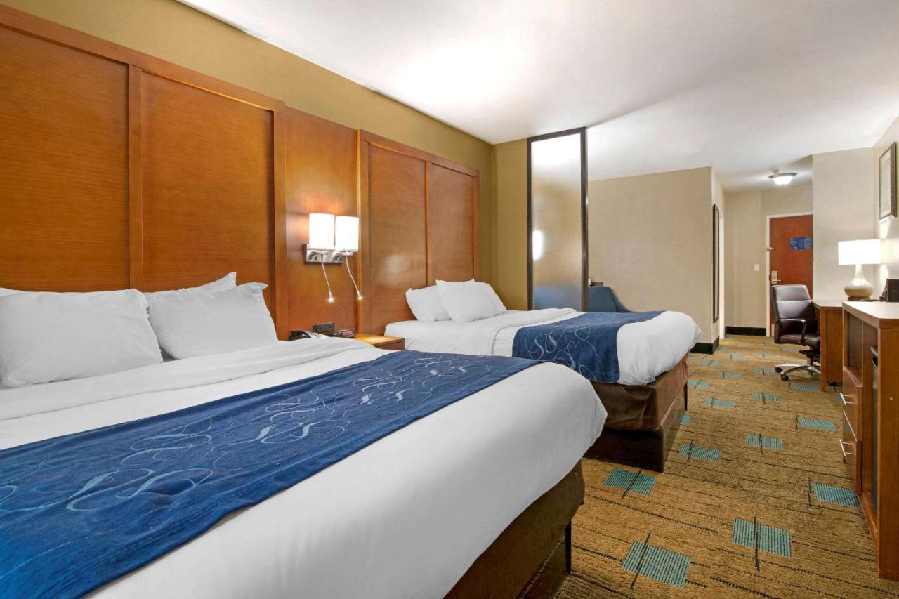 Queen Suite at Comfort Suites near MCAS Beaufort