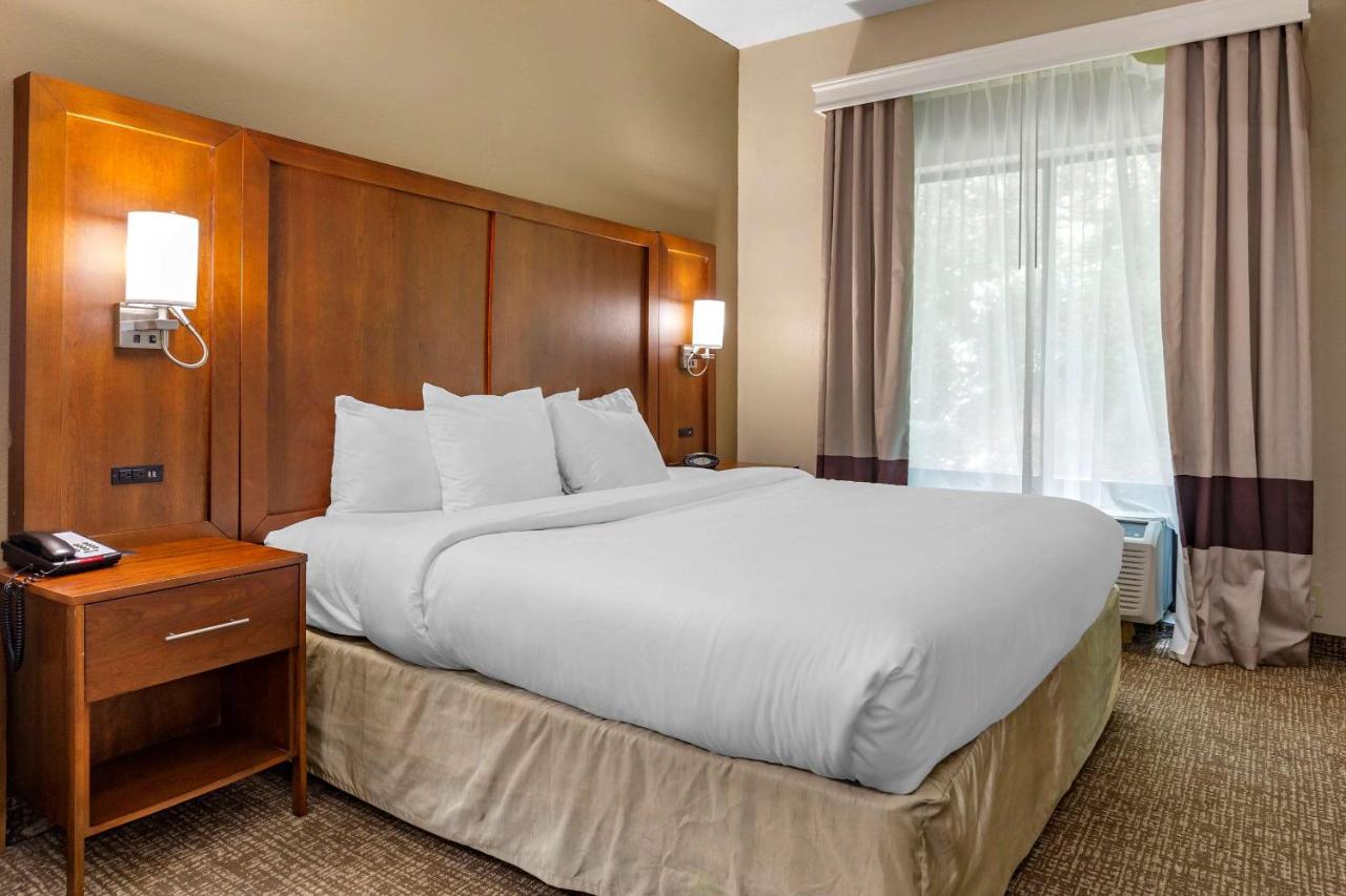 King Suite - Non-Smoking at Comfort Suites Clayton - Garner