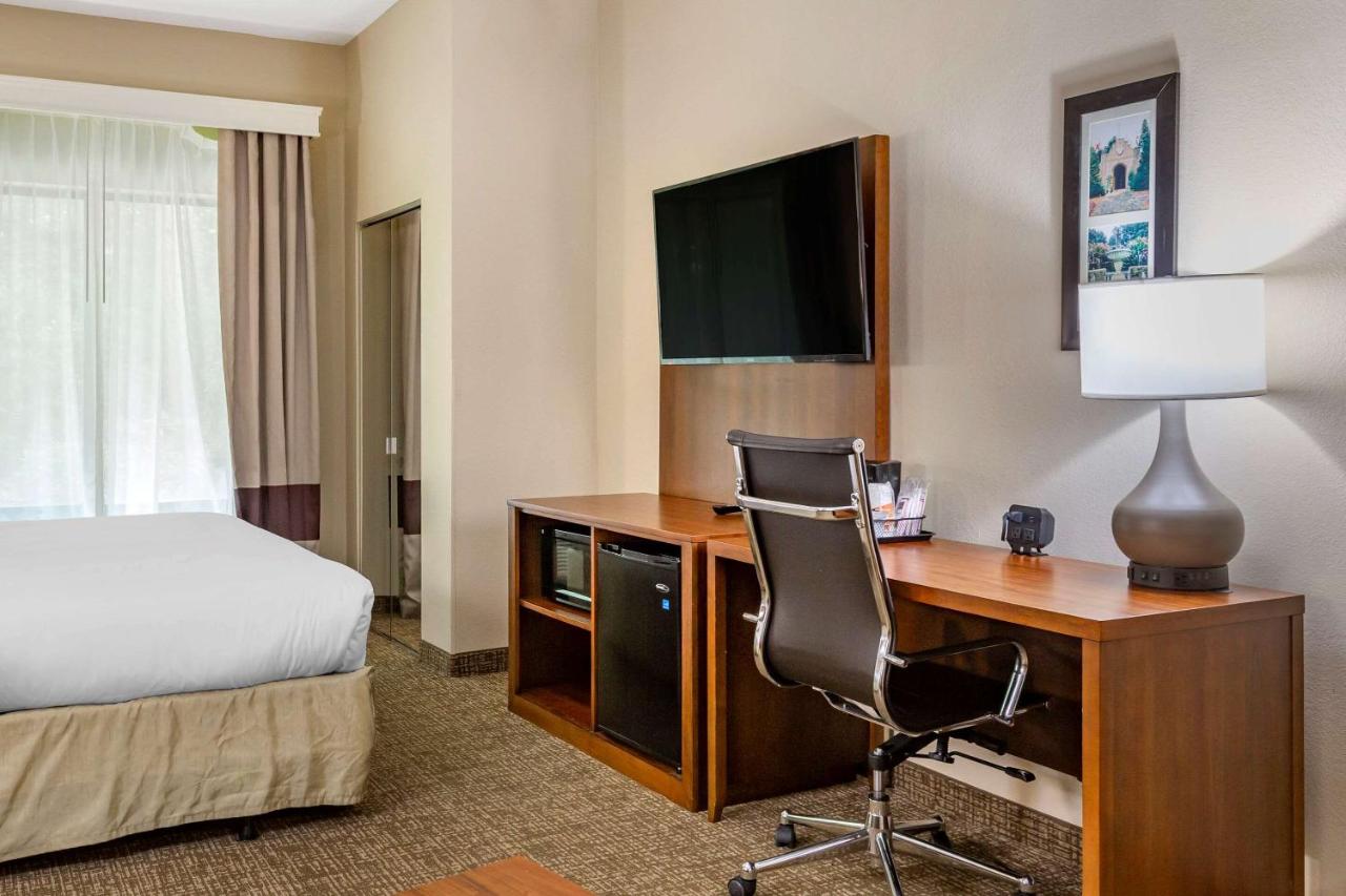 King Suite - Non-Smoking at Comfort Suites Clayton - Garner