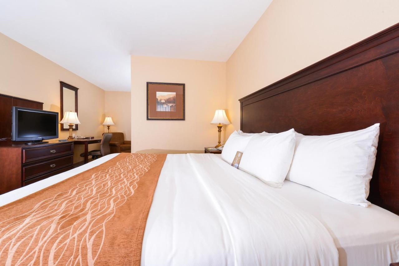 King Room - Non-Smoking at Comfort Inn & Suites McMinnville Wine Country