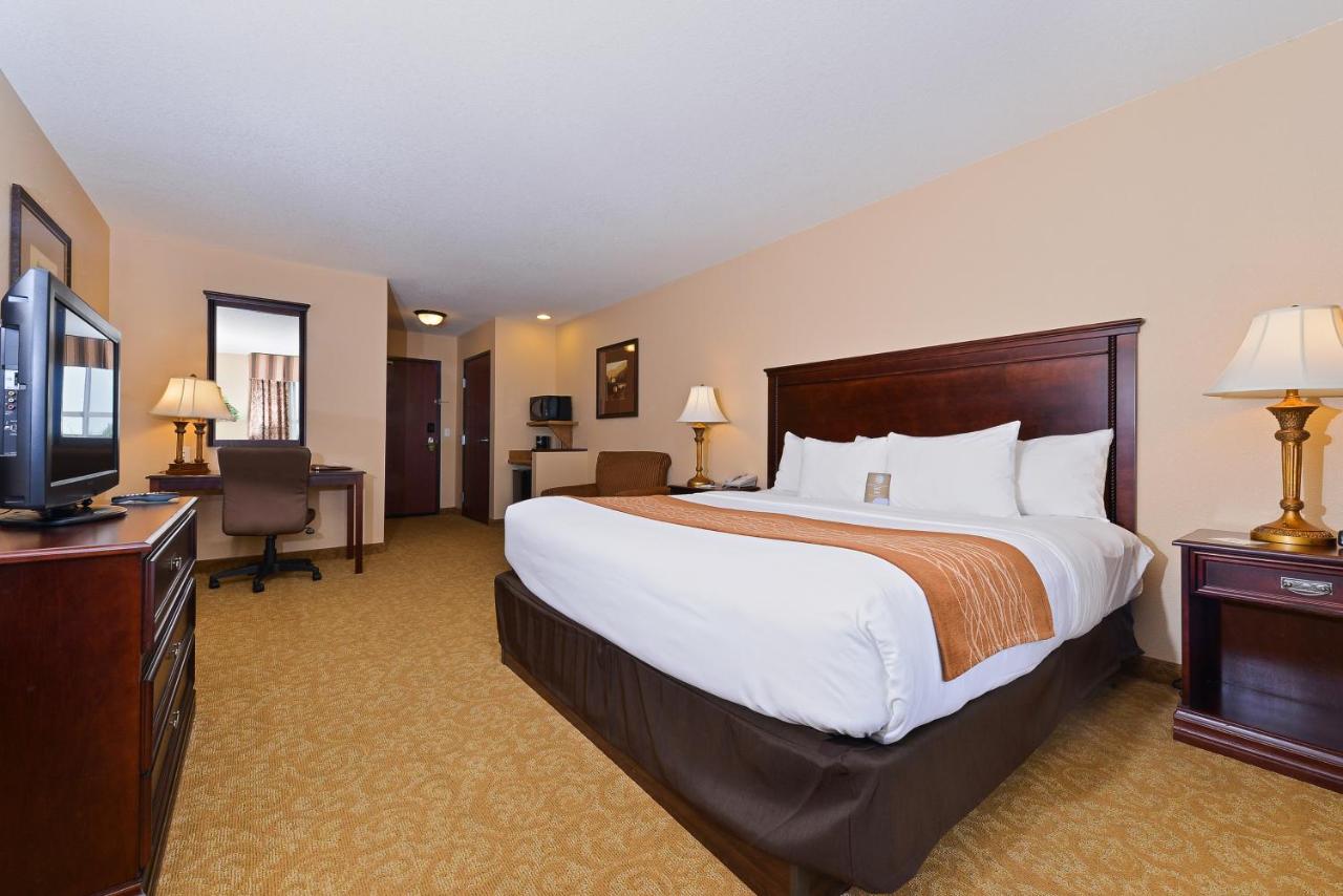 King Room - Non-Smoking at Comfort Inn & Suites McMinnville Wine Country