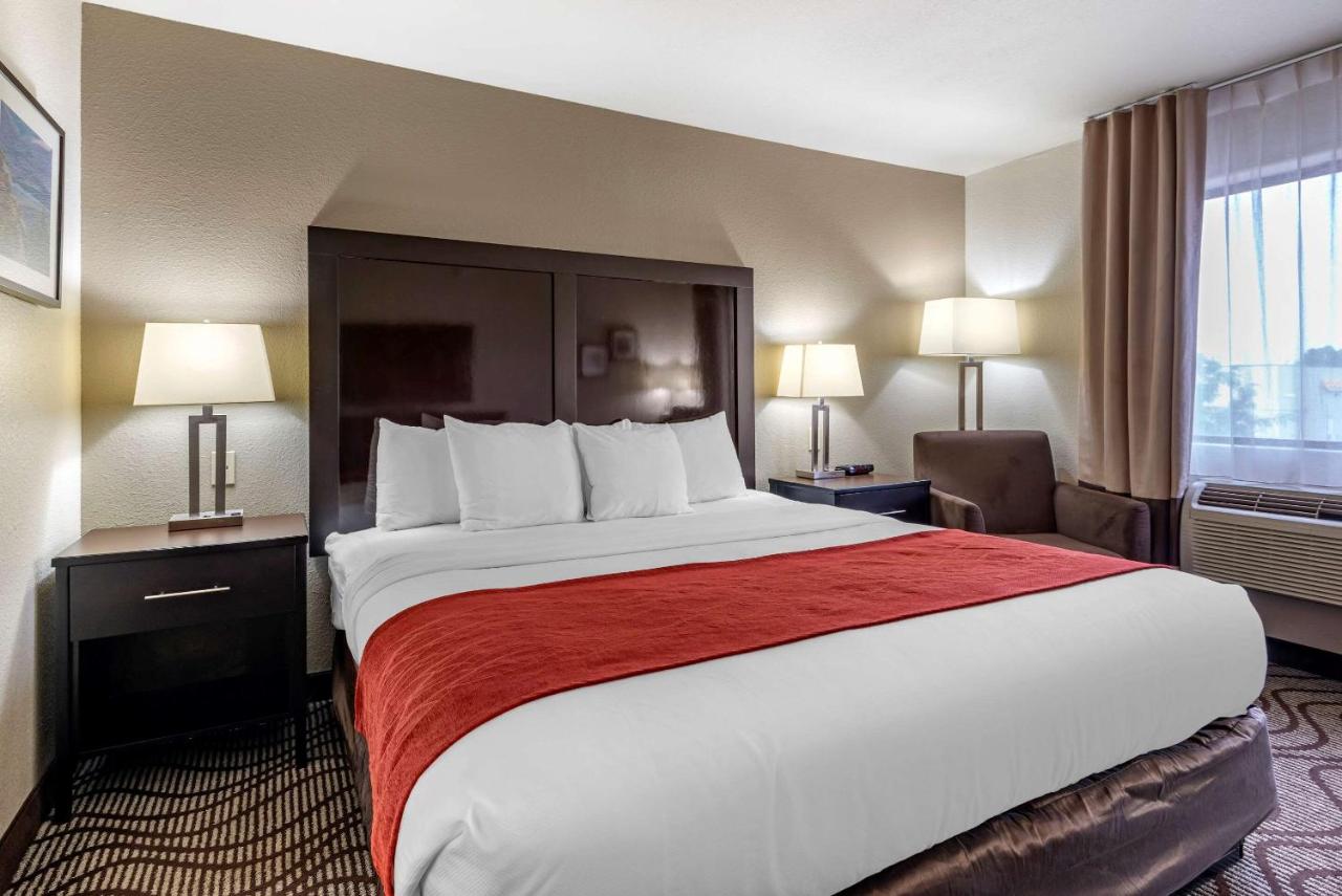 King Room - Non-Smoking at Comfort Inn & Suites Fruita - Grand Junction
