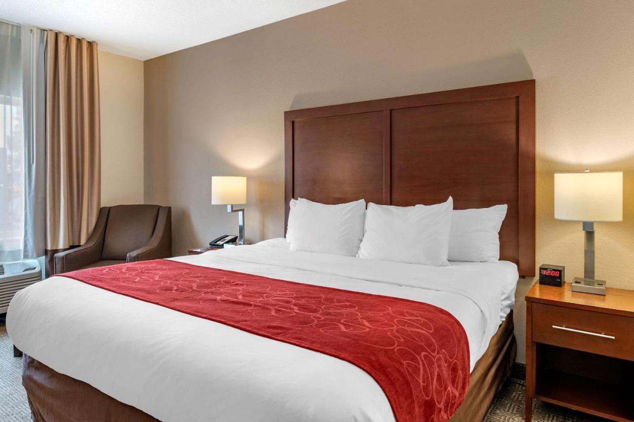 King Room - Non-Smoking at Comfort Suites Columbus West - Hilliard