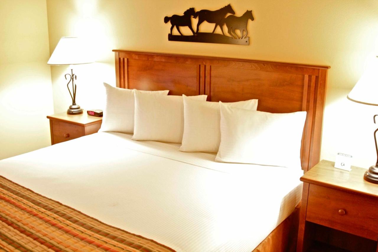 King Room at Arbuckle Lodge