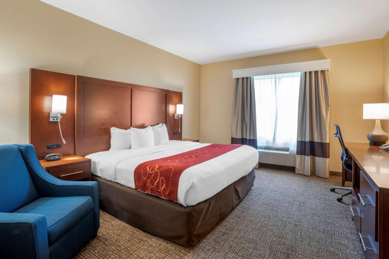 King Room - Accessible/Non-Smoking at Comfort Suites Fredericksburg North