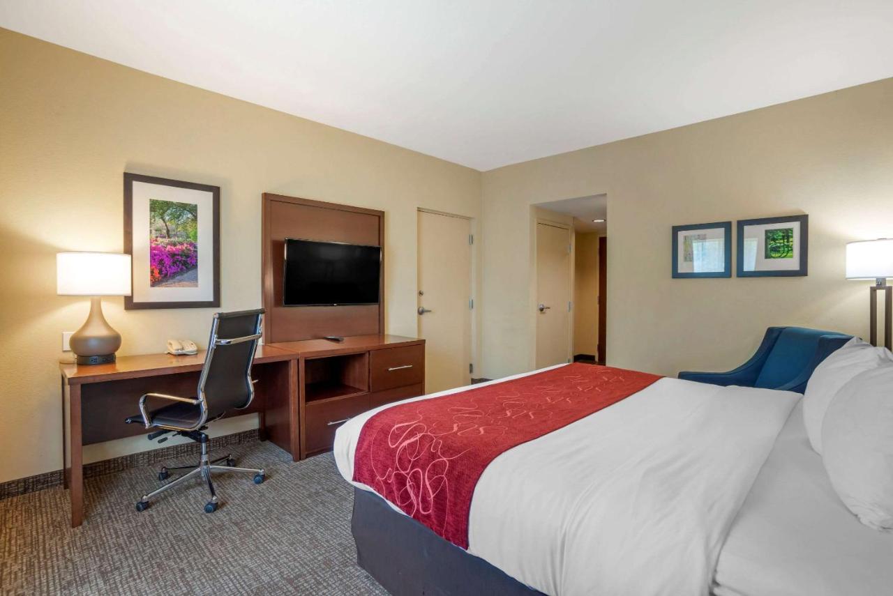 King Room - Accessible/Non-Smoking at Comfort Suites Fredericksburg North