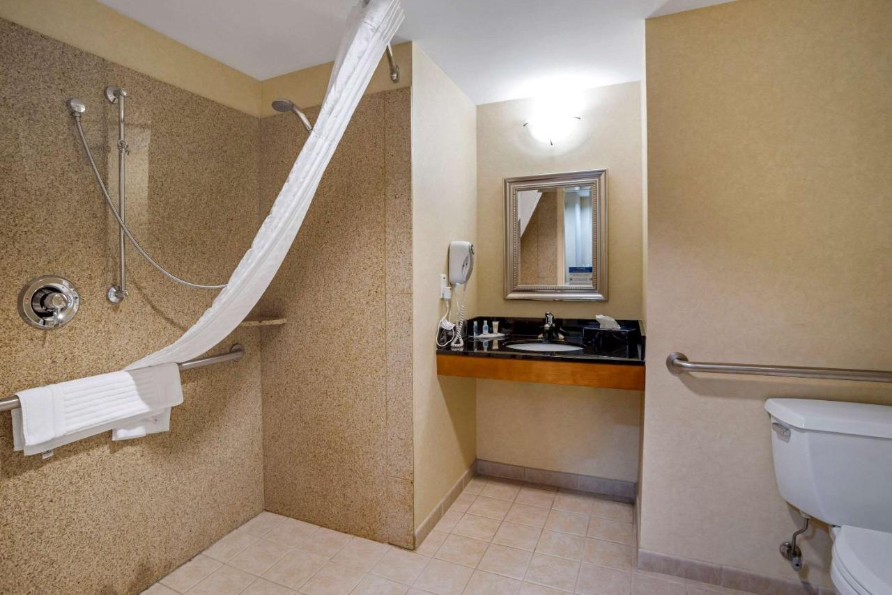 King Room with Roll-In Shower - Accessible/Non-Smoking at Comfort Suites Fredericksburg North