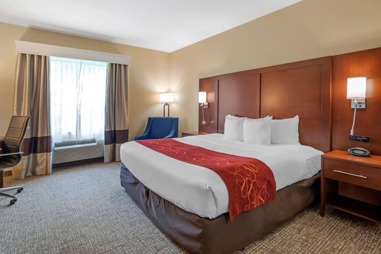 King Room with Roll-In Shower - Accessible/Non-Smoking at Comfort Suites Fredericksburg North
