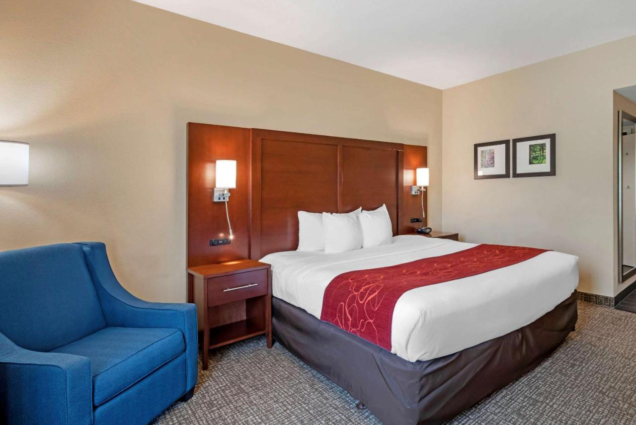 King Room with Roll-In Shower - Accessible/Non-Smoking at Comfort Suites Fredericksburg North
