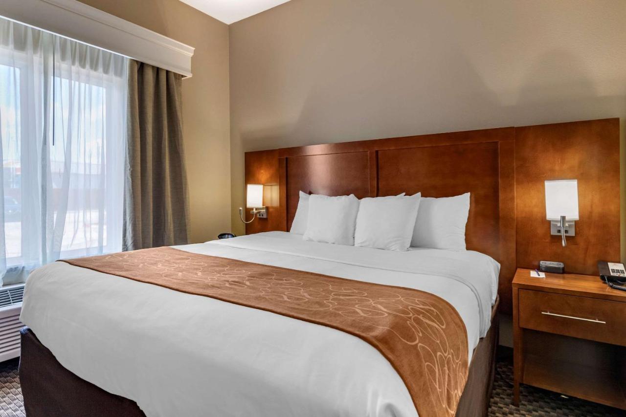 King Suite at Comfort Suites Near Texas A&M University - Corpus Christi