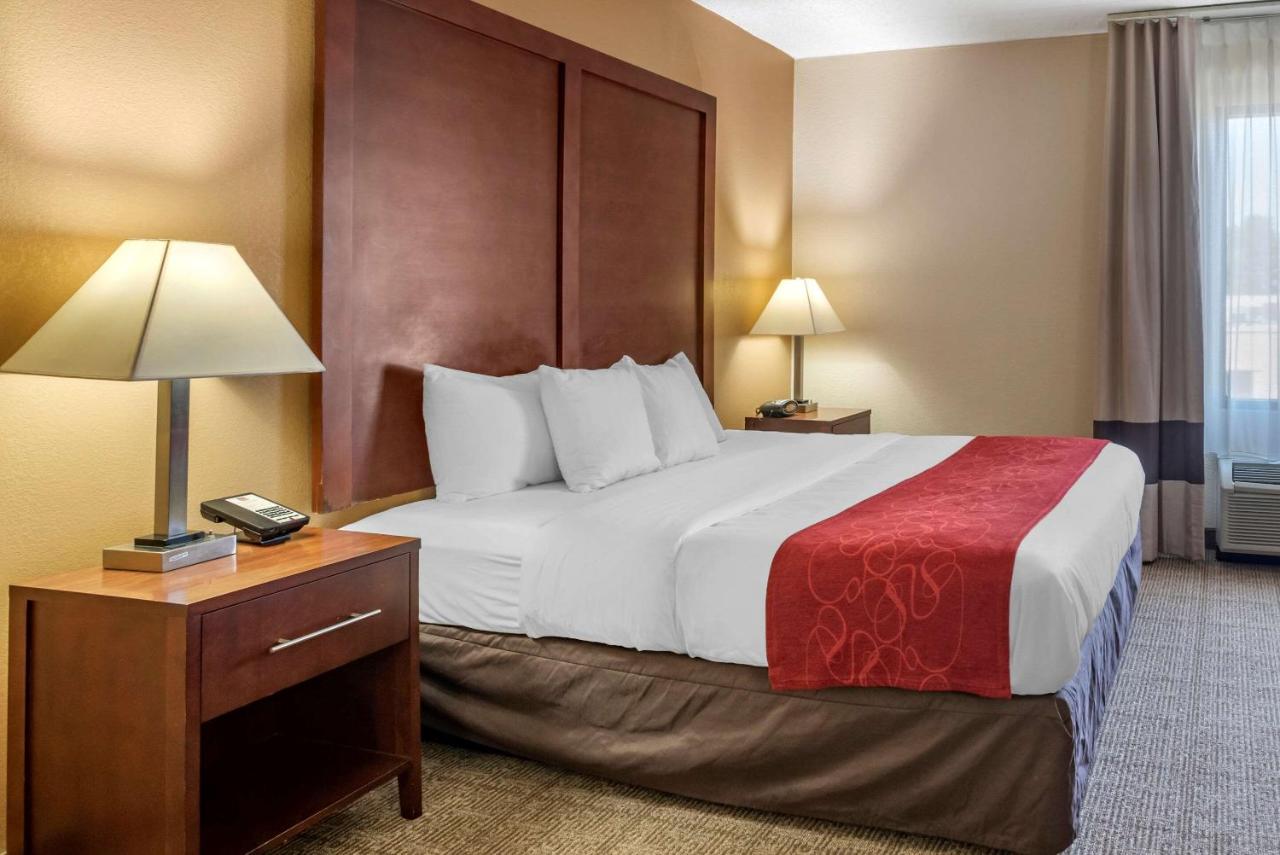 Deluxe King Suite - Non-Smoking at Comfort Suites Hagerstown Southeast