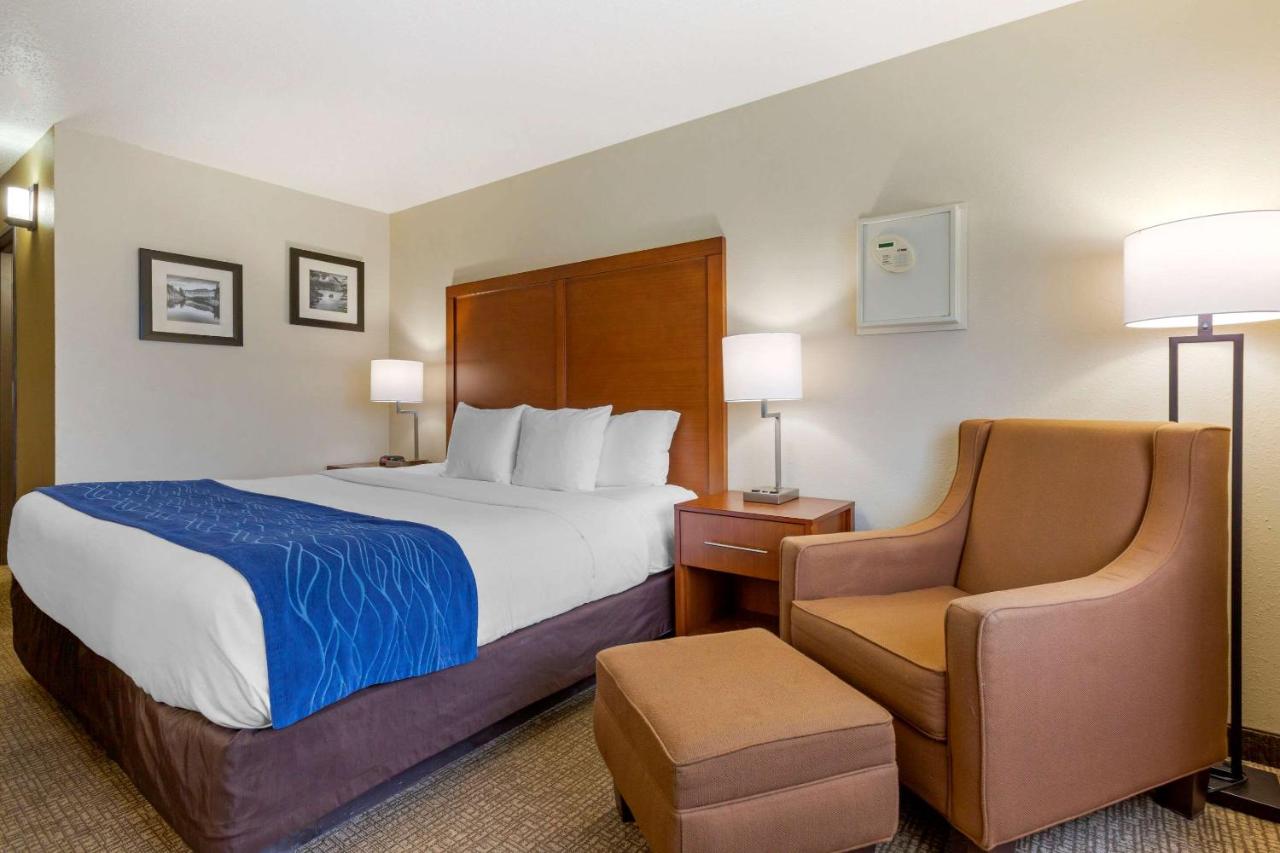 King Room - Non-Smoking at Comfort Inn South