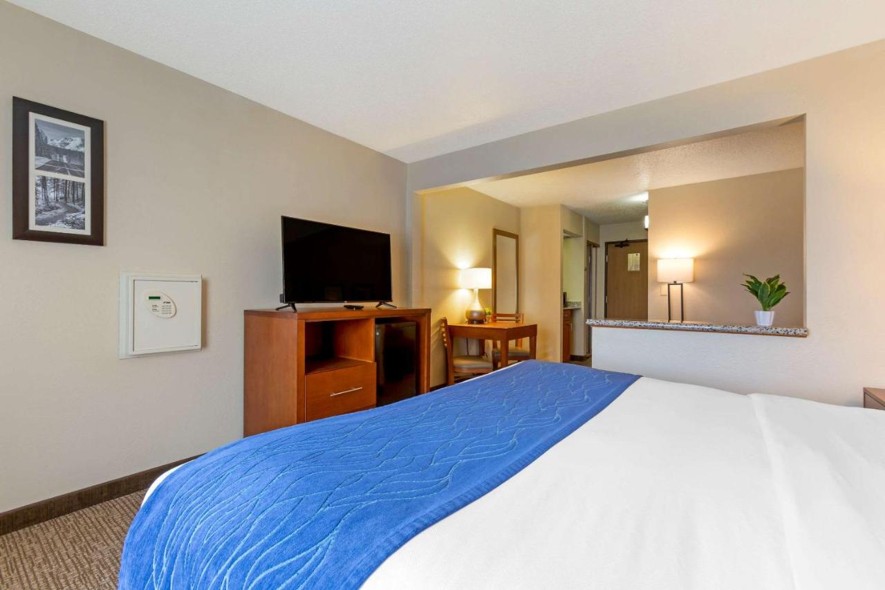 Junior Suite at Comfort Inn South