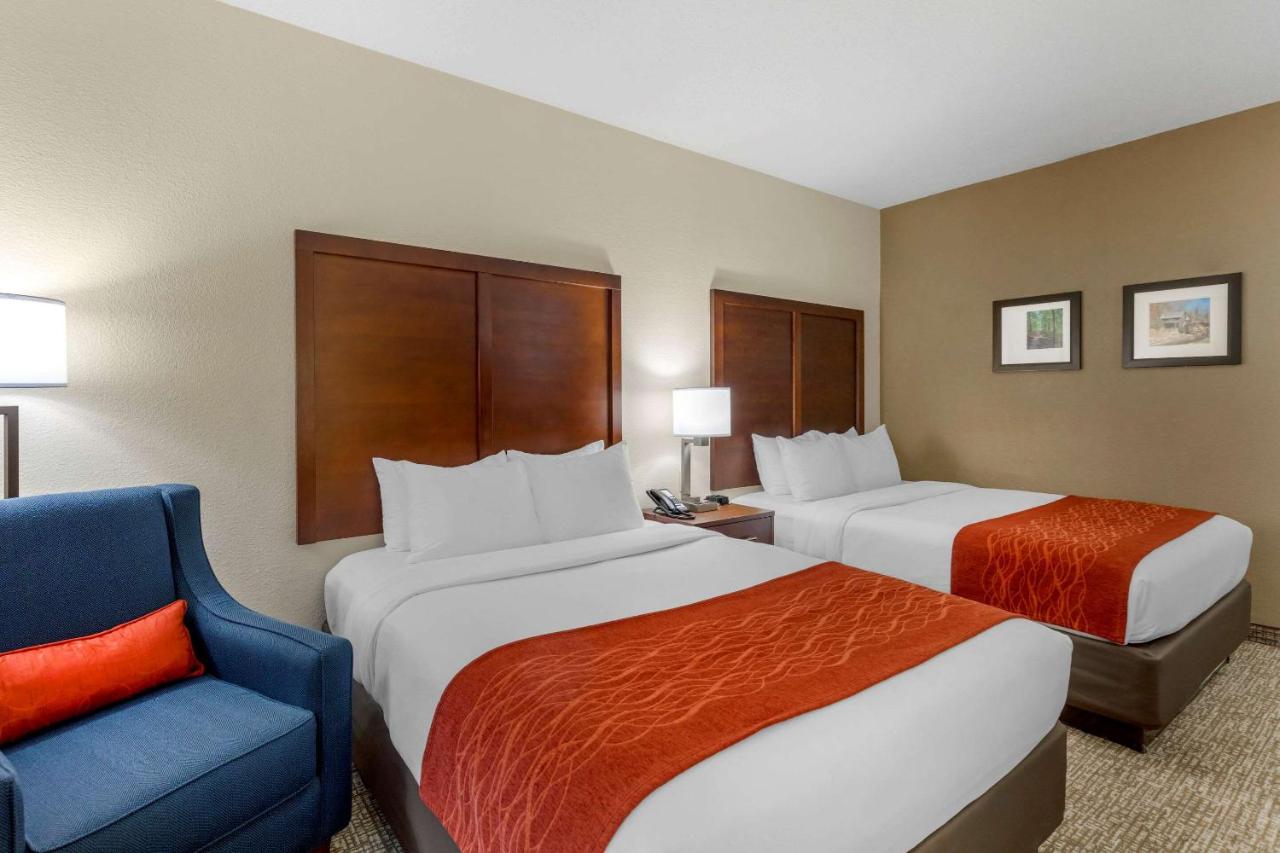 Queen Room with Two Queen Beds - Accessible/Non-Smoking at Comfort Inn & Suites Canton Riverstone Area