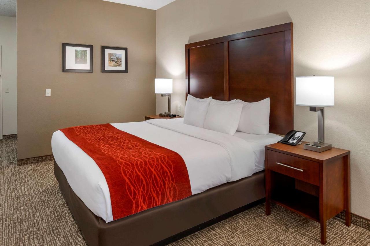 King Room - Accessible/Non-Smoking at Comfort Inn & Suites Canton Riverstone Area