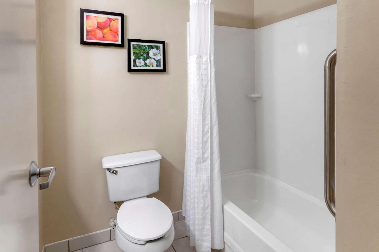 Standard King Room - Non-Smoking at Comfort Inn & Suites Canton Riverstone Area