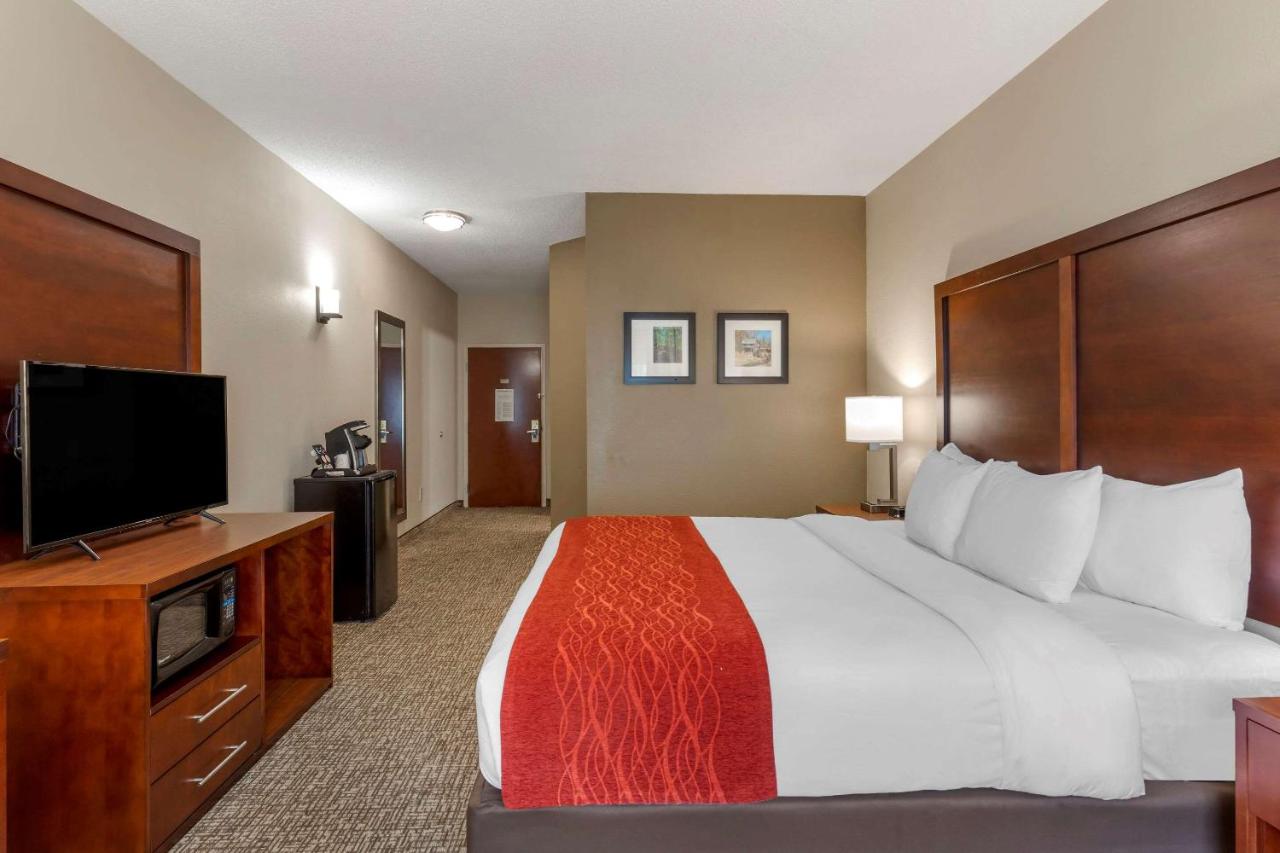 King Room - Non-Smoking/Ground Floor at Comfort Inn & Suites Canton Riverstone Area