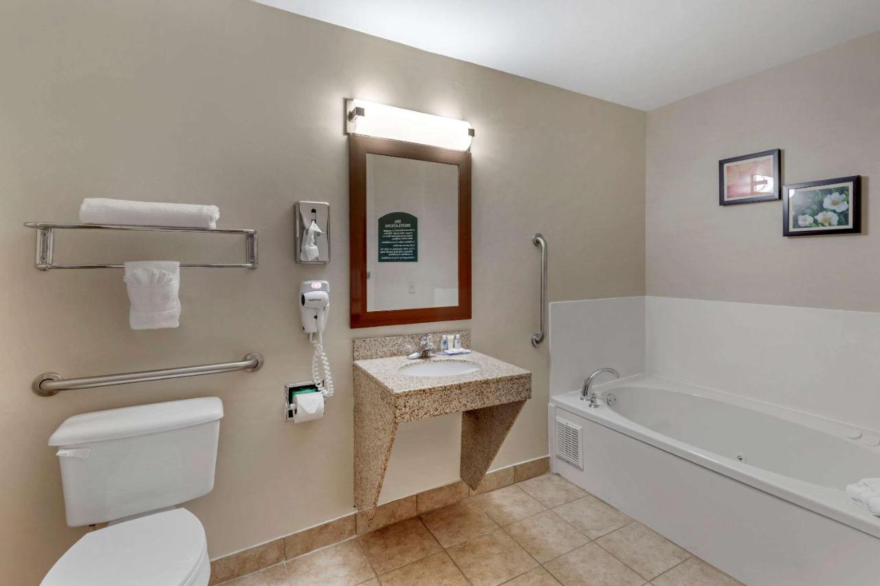 King Room - Non-Smoking/Ground Floor at Comfort Inn & Suites Canton Riverstone Area