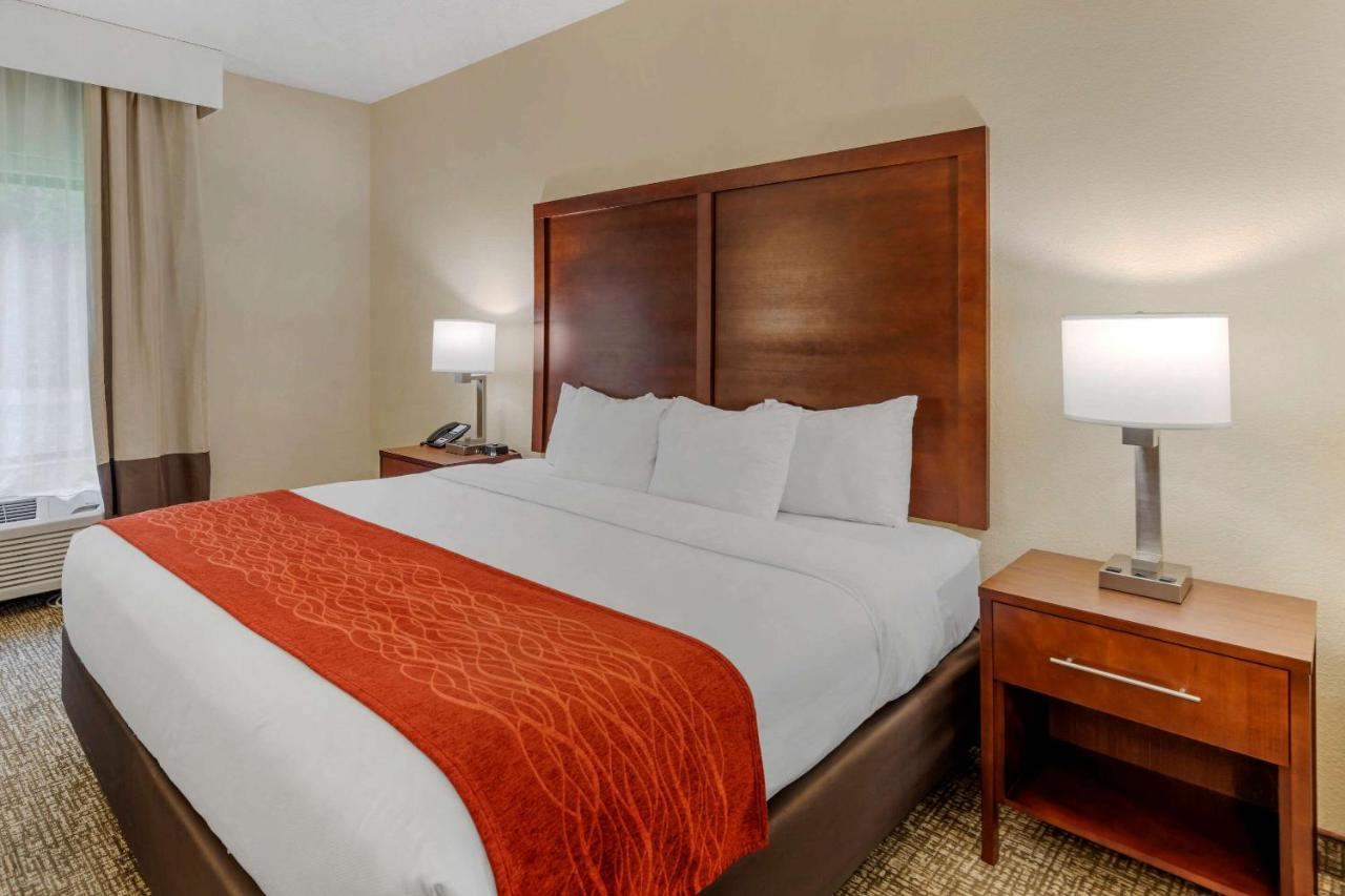 King Suite - Non-Smoking at Comfort Inn & Suites Canton Riverstone Area