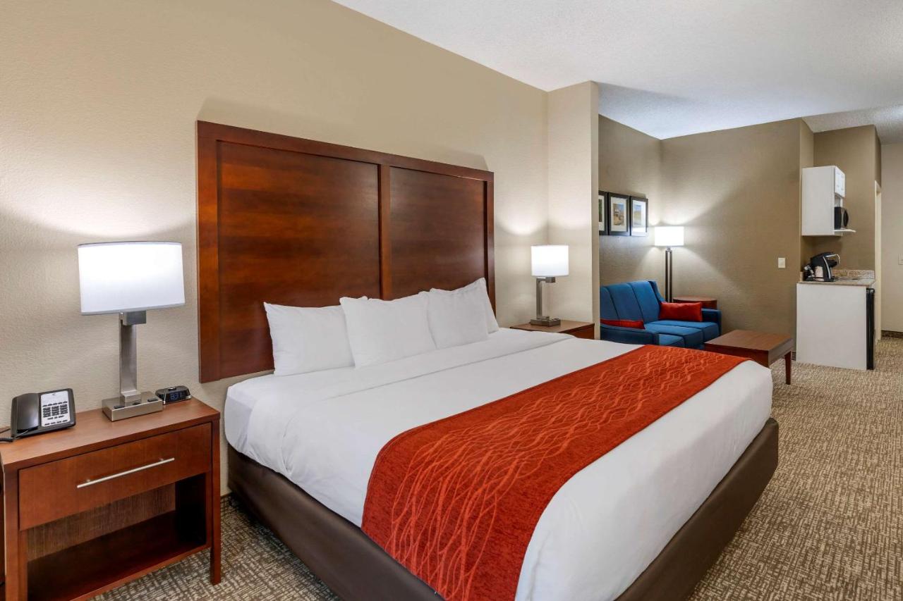 King Suite - Non-Smoking at Comfort Inn & Suites Canton Riverstone Area