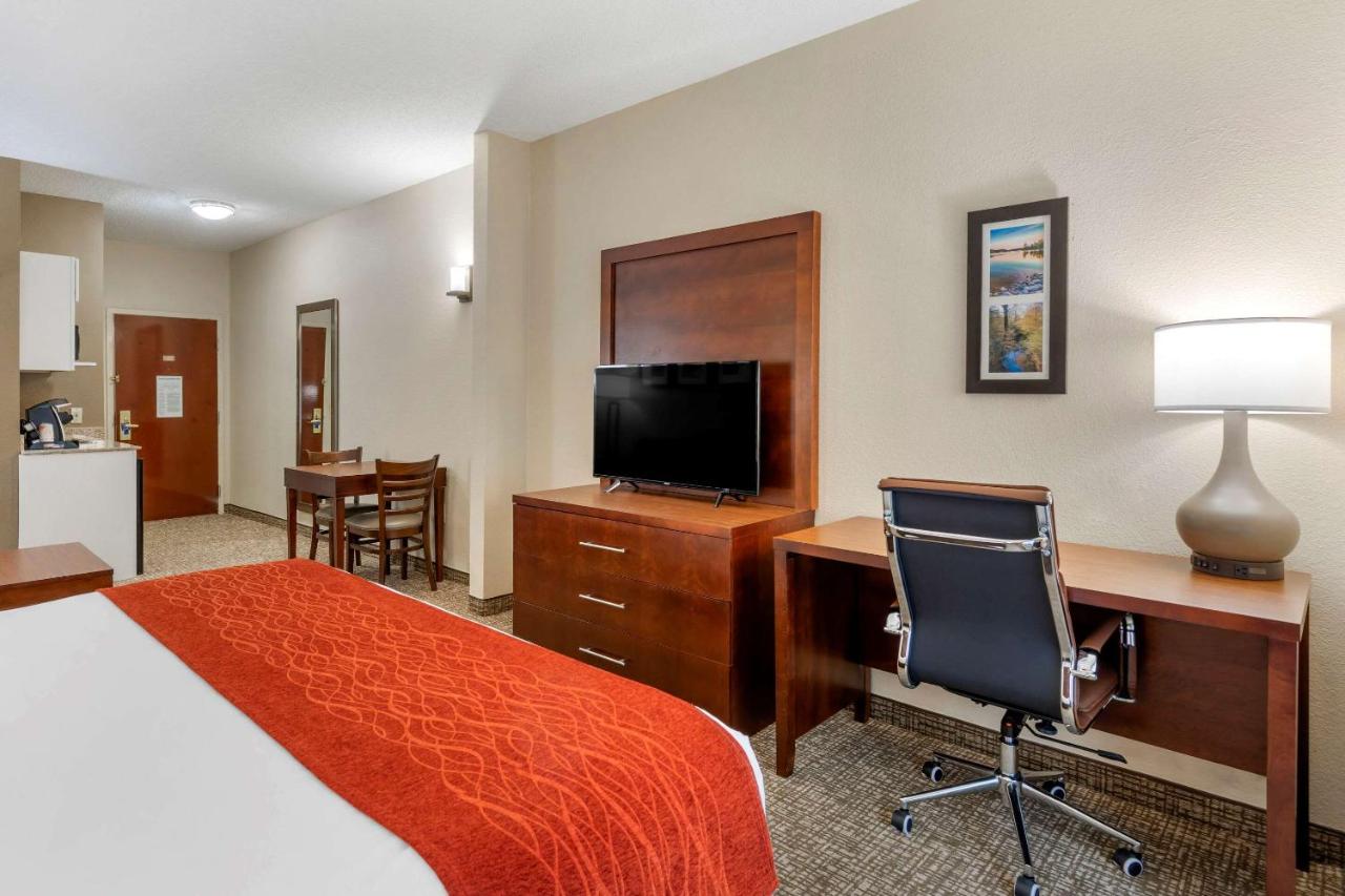 King Suite - Non-Smoking at Comfort Inn & Suites Canton Riverstone Area