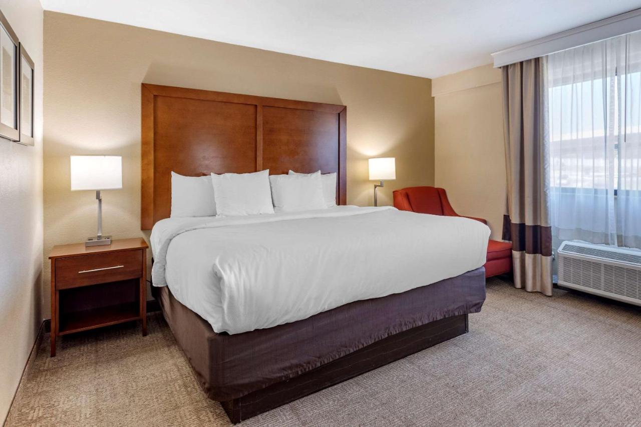 King Room - Non-Smoking at Comfort Inn Nashville West