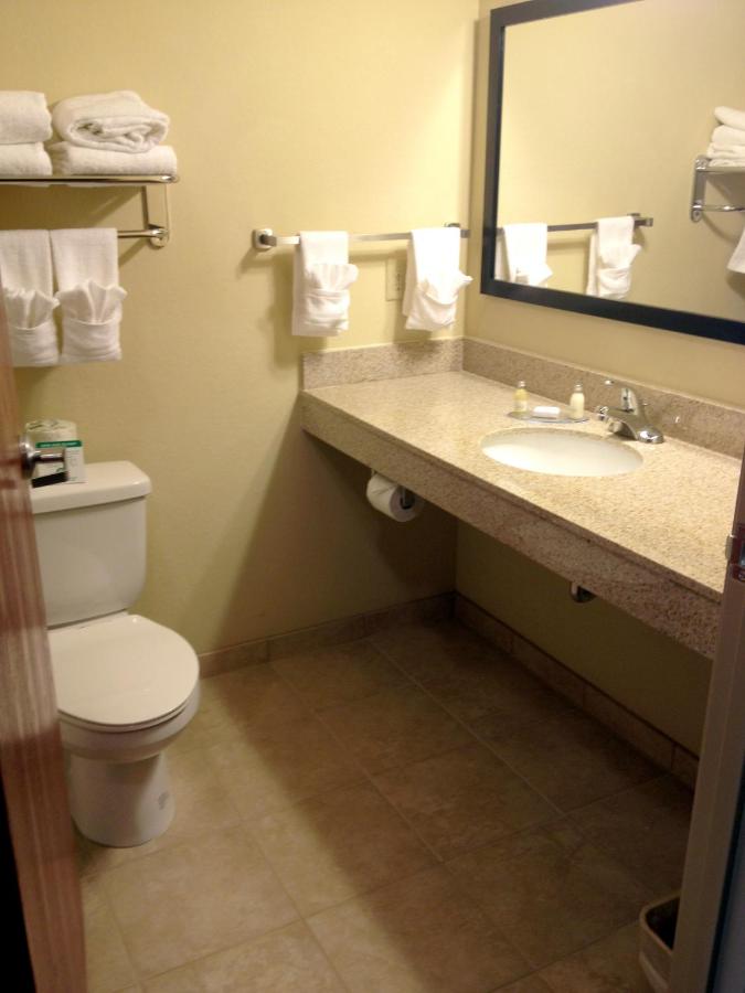 King Studio with Sofa Bed at Cobblestone Hotel & Suites - Waynesboro