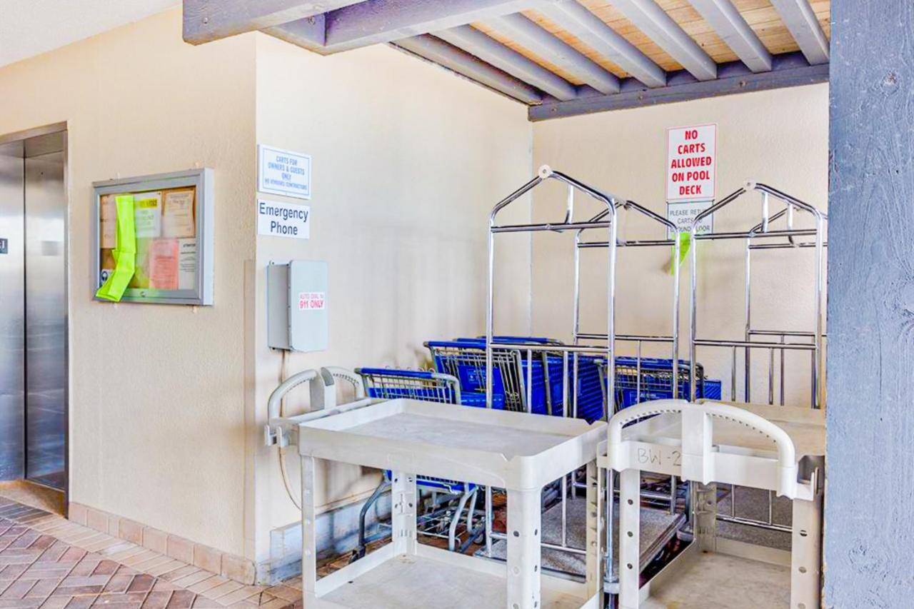 Three Bedroom Apartment at Bluewater