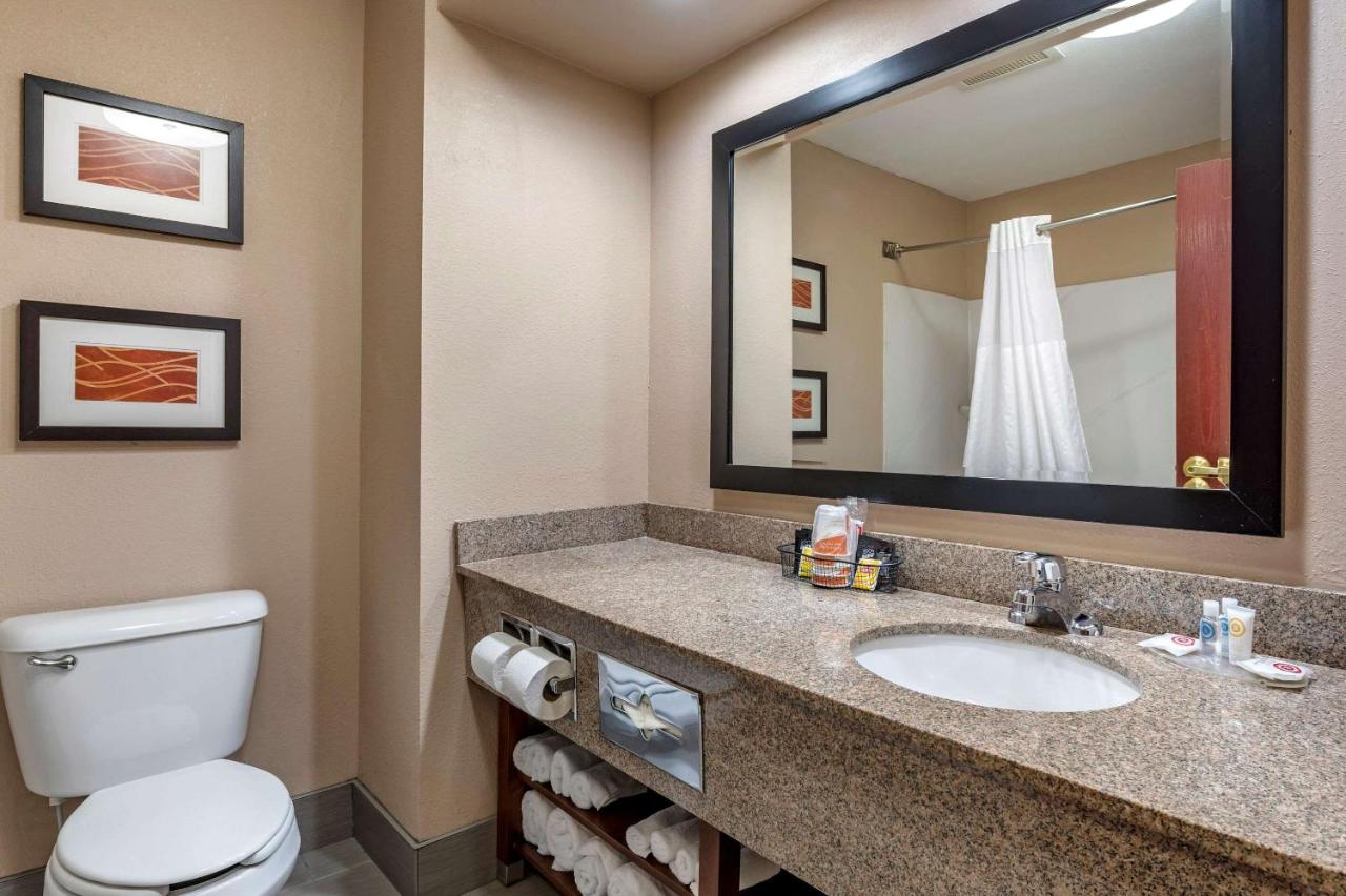 One-Bedroon King Suite with Spa Bath- Non-Smoking at Comfort Inn & Suites Lawrenceburg