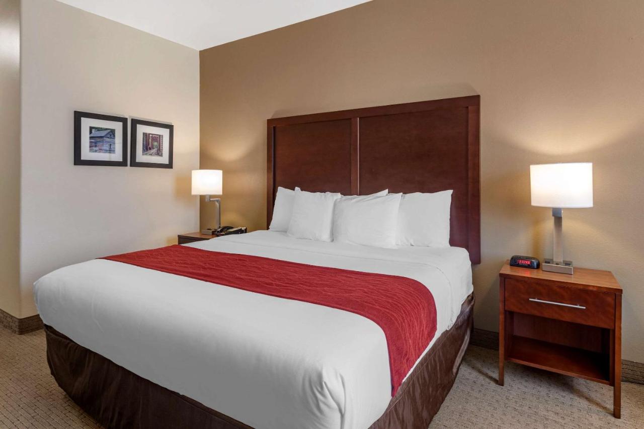 King Room - Non-Smoking at Comfort Inn & Suites Villa Rica