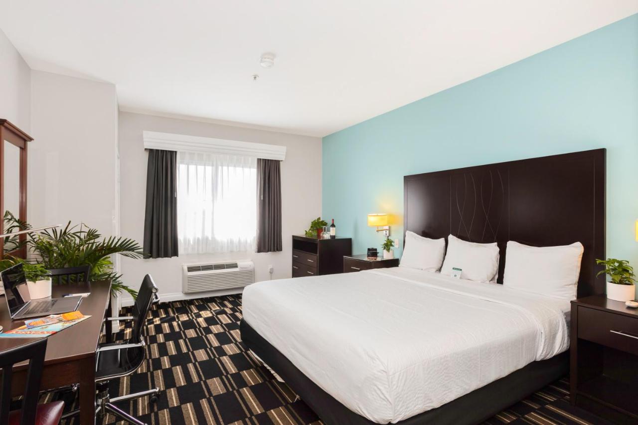 King Room - Disability Access at The Hotel Oceanside