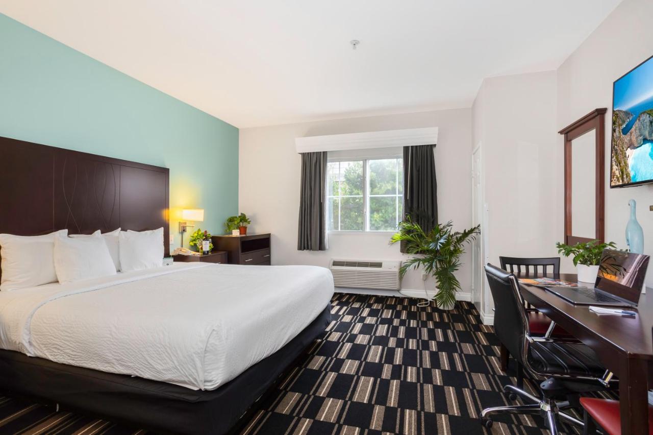 King Room - Disability Access at The Hotel Oceanside