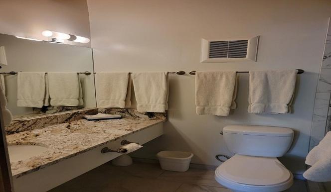 Two-Bedroom Condo with Two Bathrooms at St. Moritz Lodge & Condominiums