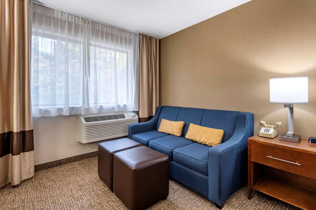 Queen Room with Sofa Bed - Non-Smoking at Comfort Inn & Suites Montpelier-Berlin