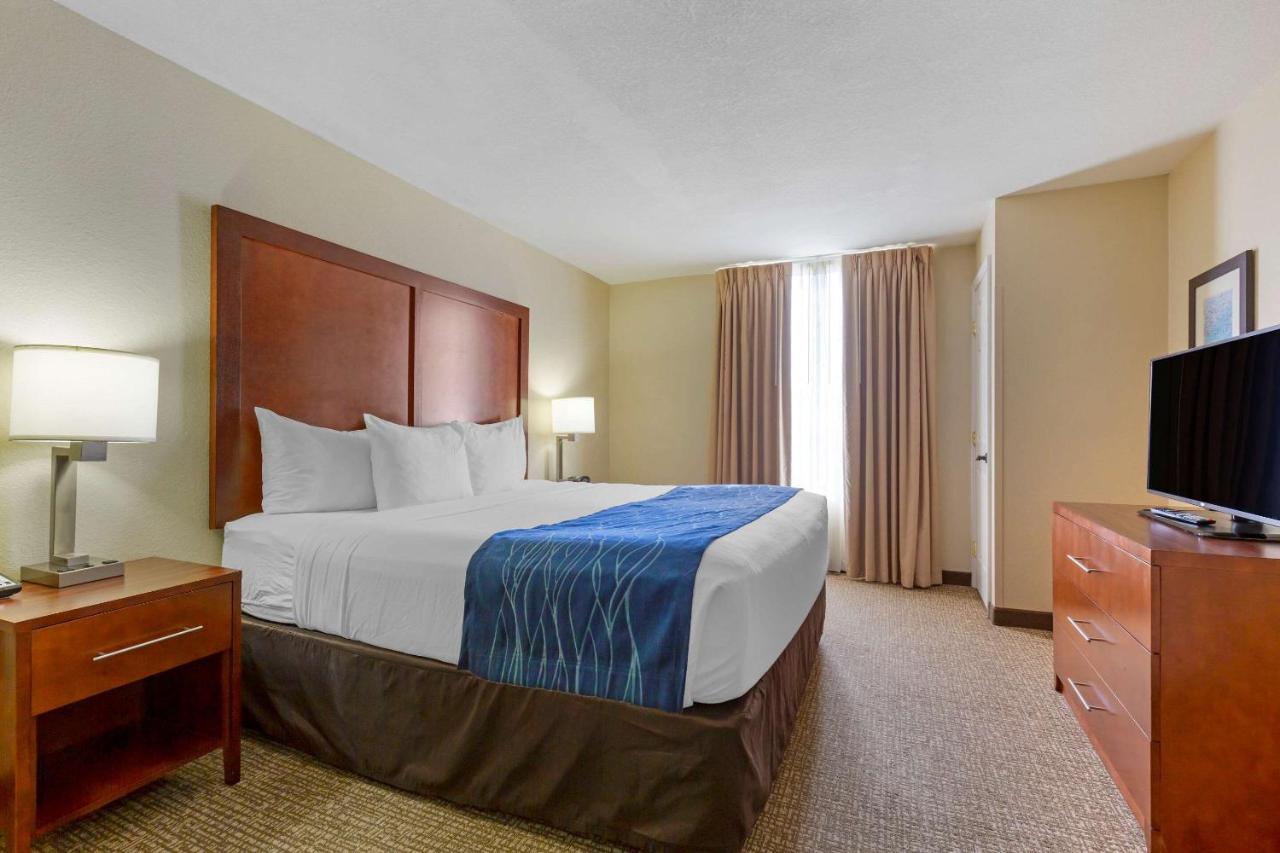 King Suite with Sofa Bed at Comfort Suites Fredericksburg South
