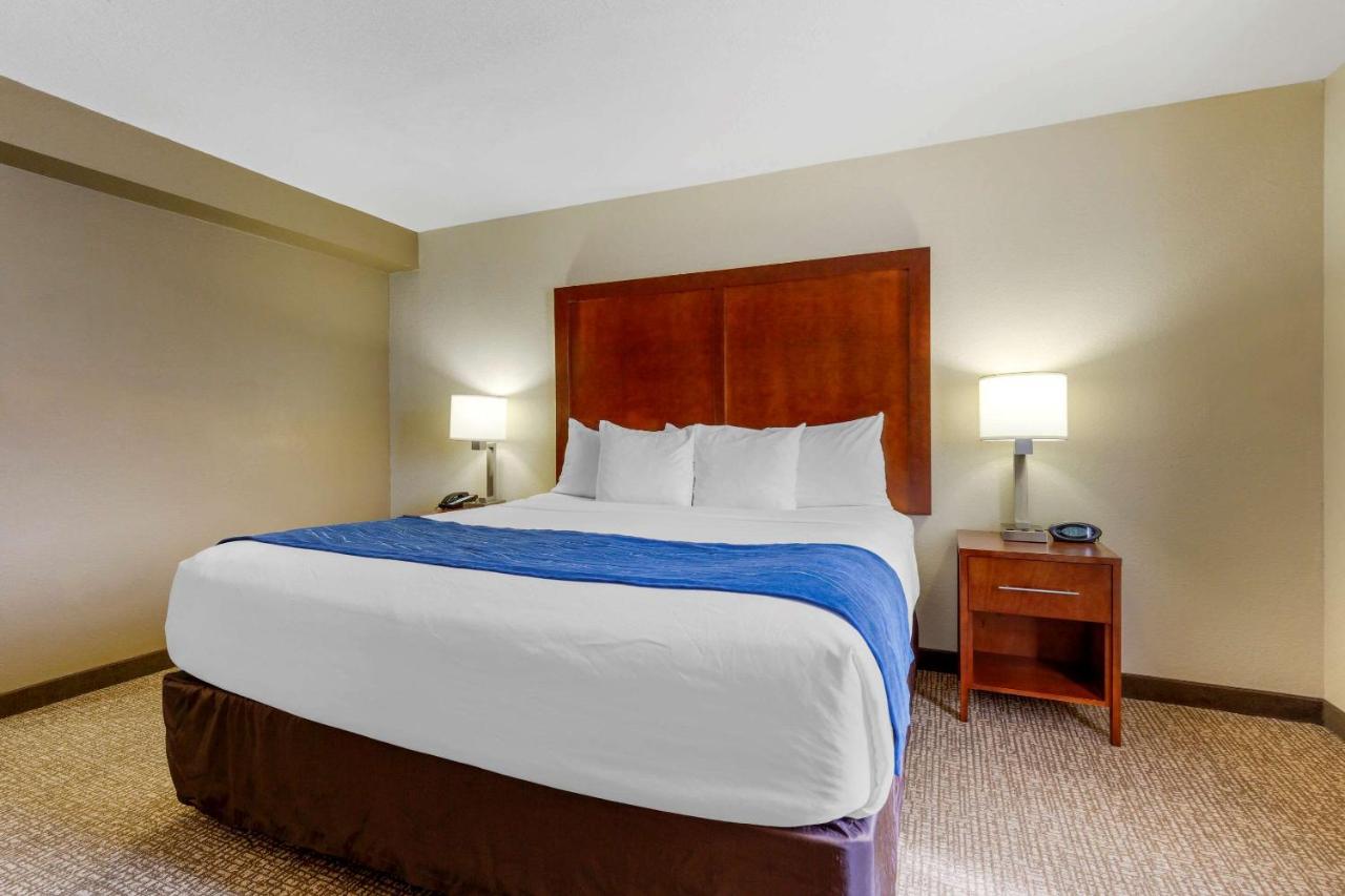 King Suite with Sofa Bed at Comfort Suites Fredericksburg South