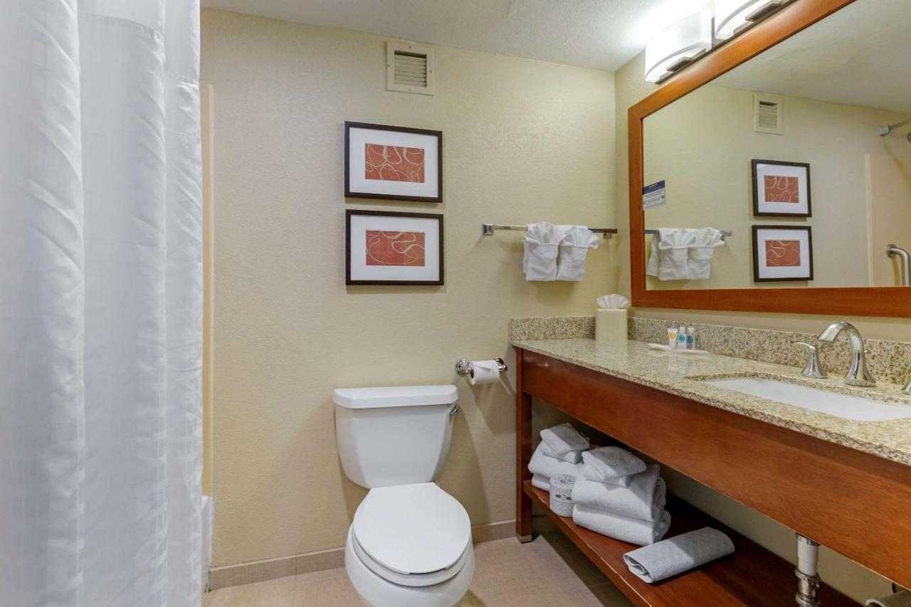 King Suite with Sofa Bed at Comfort Suites Fredericksburg South