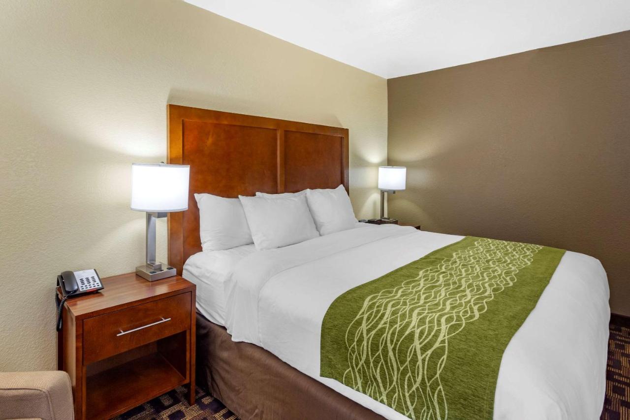 King Room with Roll-in Shower - Disability Access/Non-Smoking at Comfort Inn & Suites North Aurora - Naperville