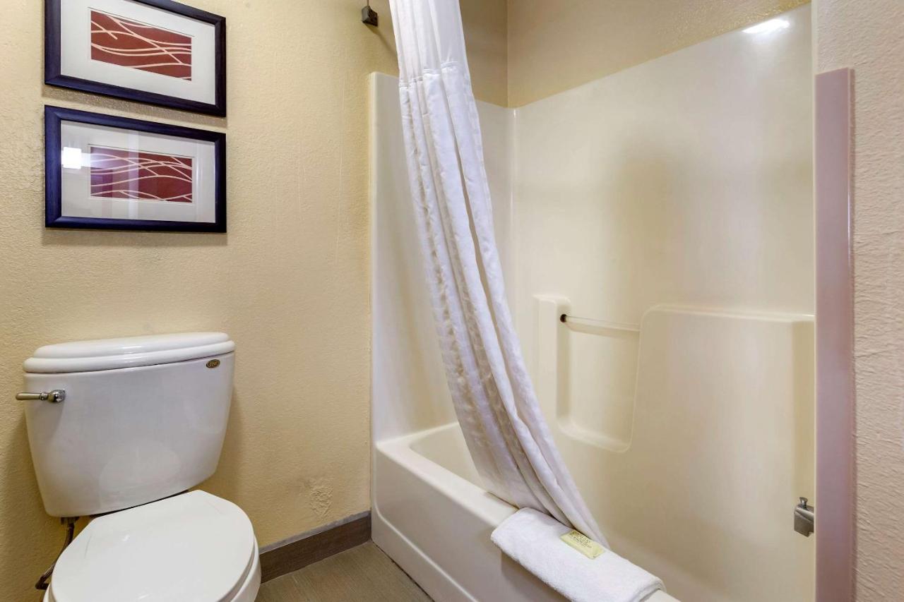 King Room at Comfort Inn & Suites North Aurora - Naperville