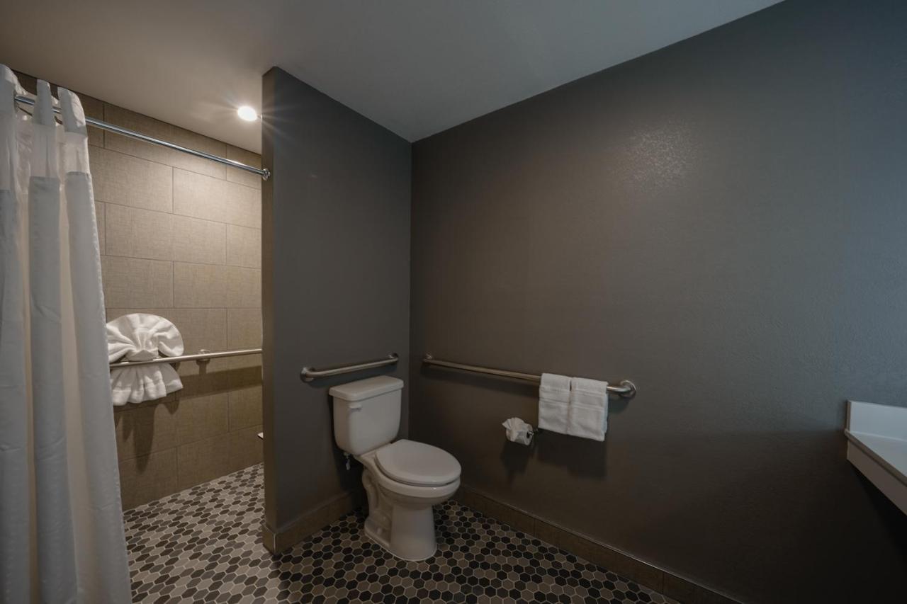 King Suite - Disability Access at Holiday Inn Express & Suites Santa Clara-Silicon Valley by IHG