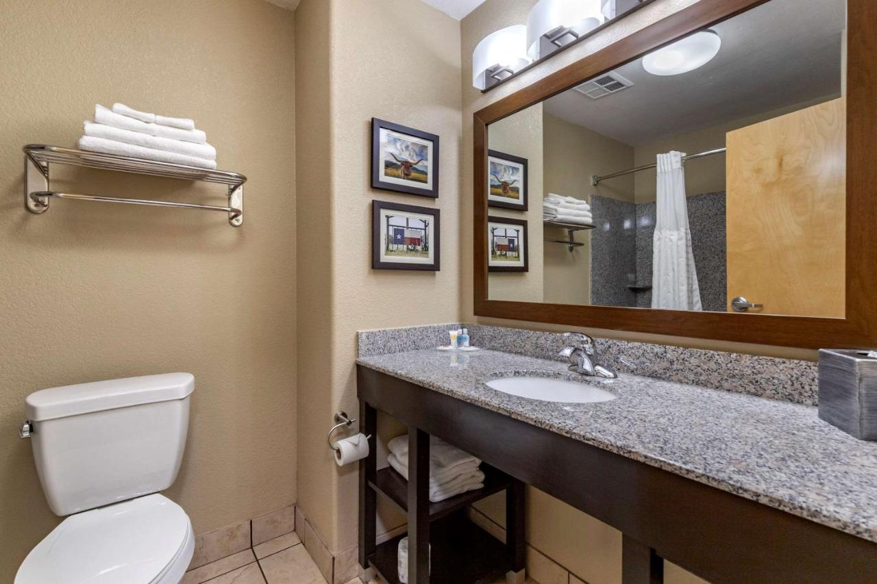 King Suite - Non-Smoking at Comfort Suites Georgetown