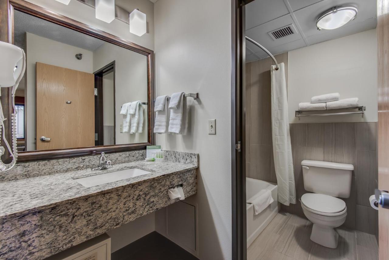 King Suite - Non-Smoking at AmericInn by Wyndham Coon Rapids