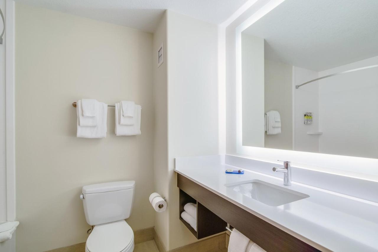 Executive King Suite - Non-Smoking at Holiday Inn Express Hotel & Suites Custer by IHG