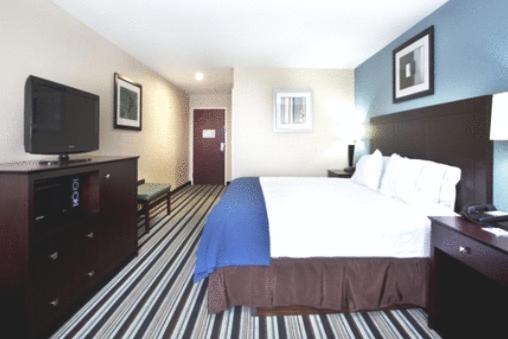 Executive King Suite - Non-Smoking at Holiday Inn Express Hotel & Suites, a Baton Rouge-Port Allen by IHG