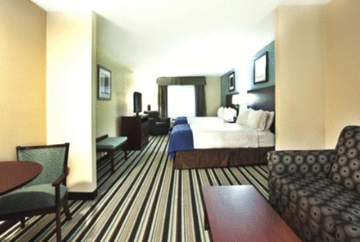 Executive King Suite - Non-Smoking at Holiday Inn Express Hotel & Suites, a Baton Rouge-Port Allen by IHG