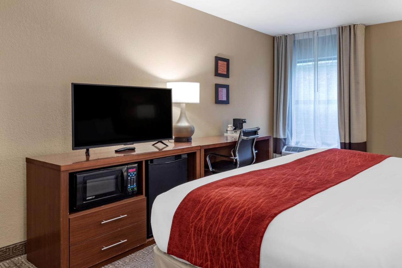 King Room with Roll-In Shower - Accessible/Non-Smoking at Comfort Inn Biltmore West