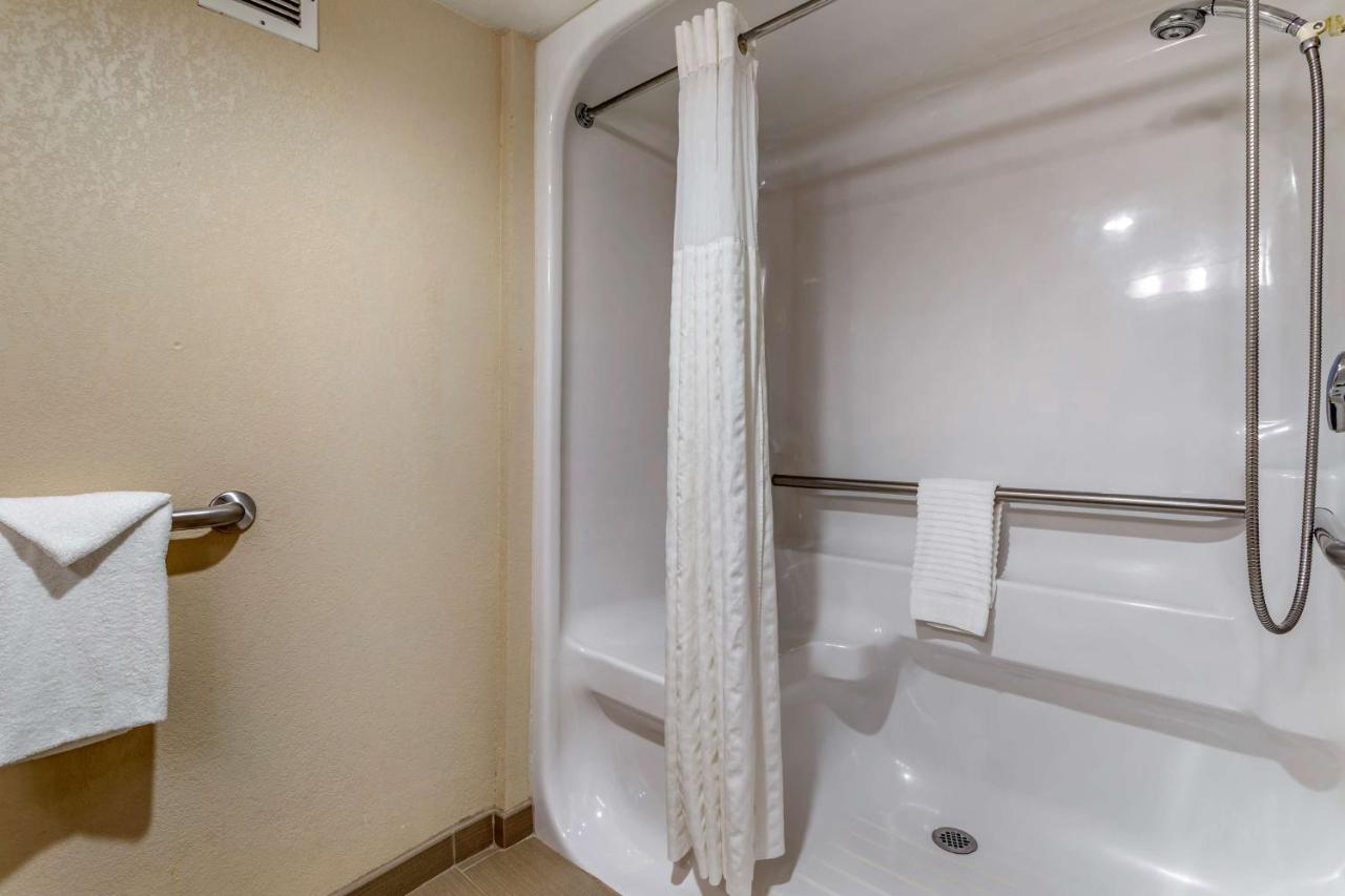 King Room with Roll-In Shower - Accessible/Non-Smoking at Comfort Inn Biltmore West