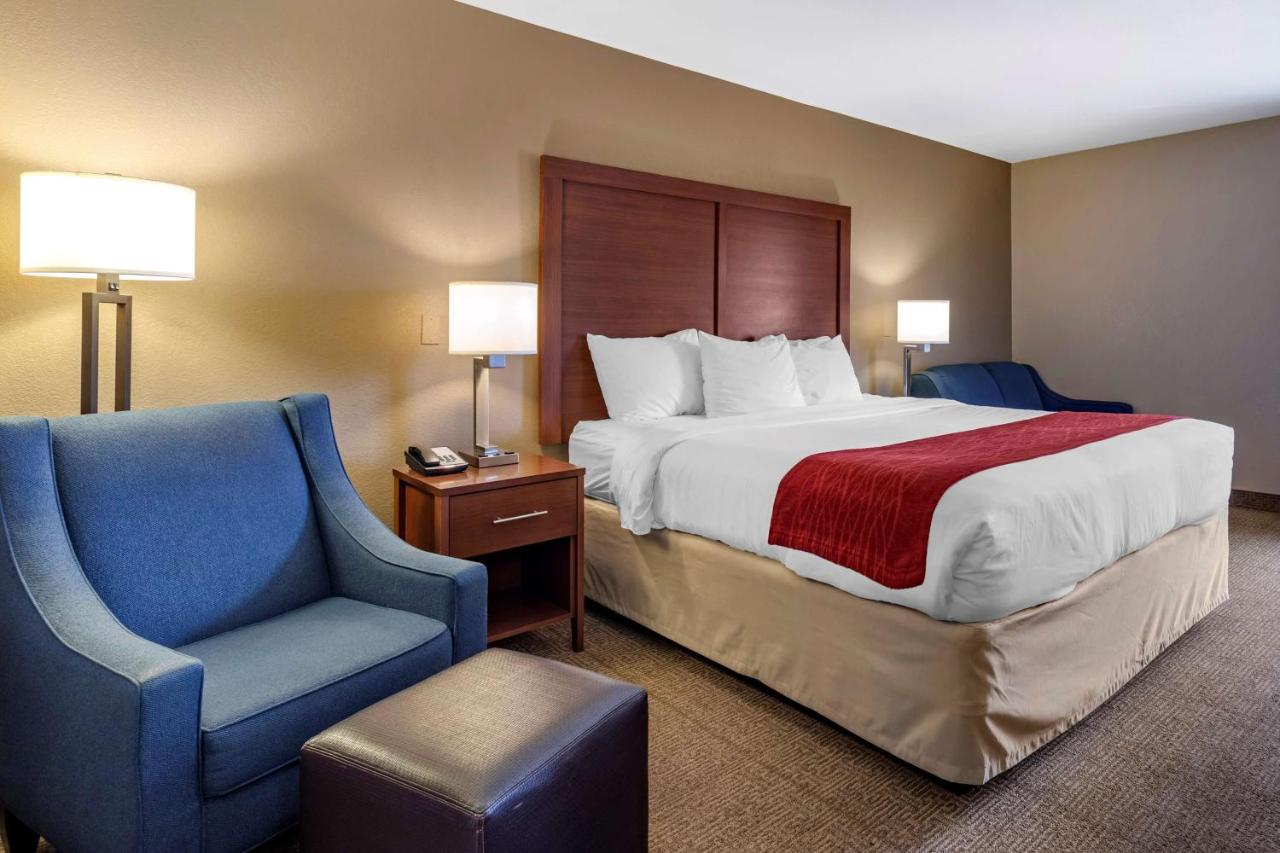 King Room - Non-Smoking at Comfort Inn Biltmore West