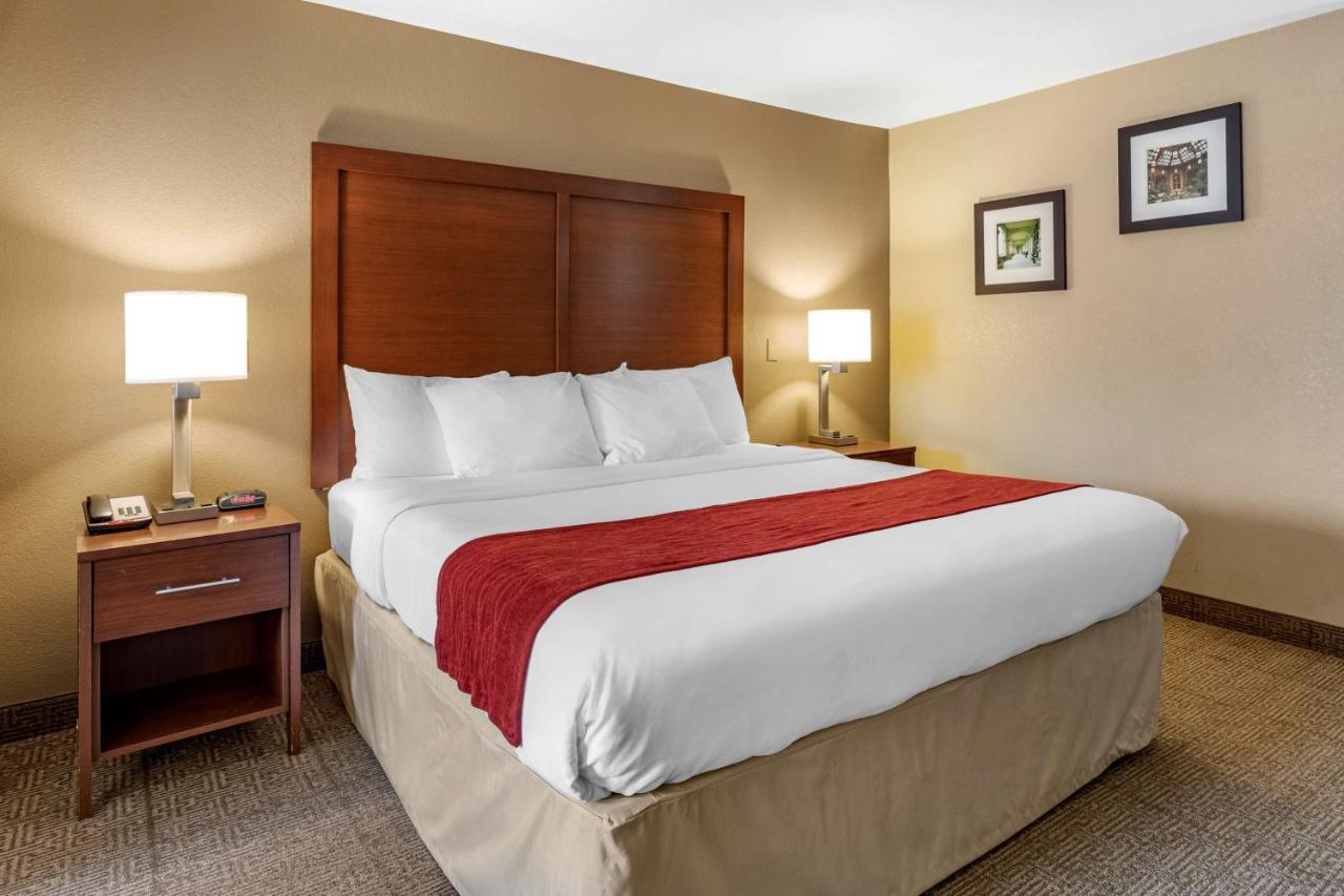 Business King Suite - Non-Smoking at Comfort Inn Biltmore West