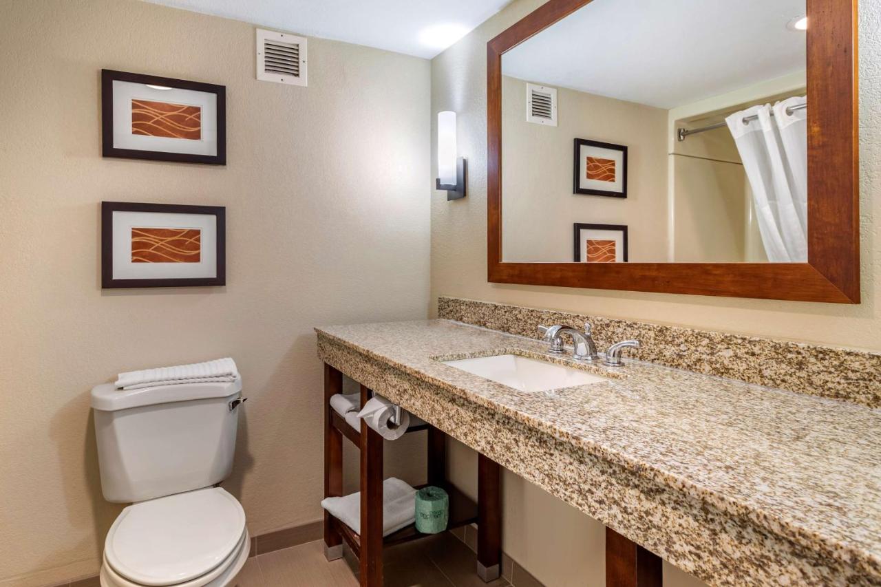 Business King Suite - Non-Smoking at Comfort Inn Biltmore West